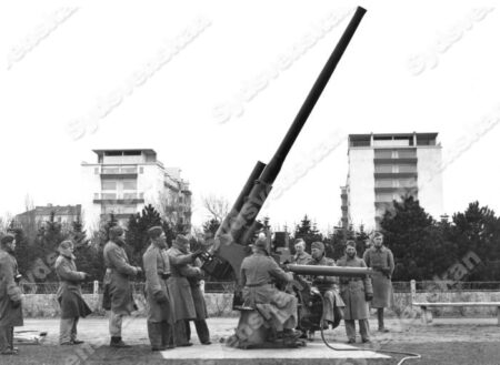 SDSarkivkrigl 5 8