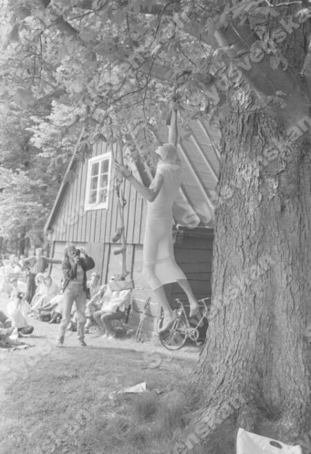 Torssonkompl024